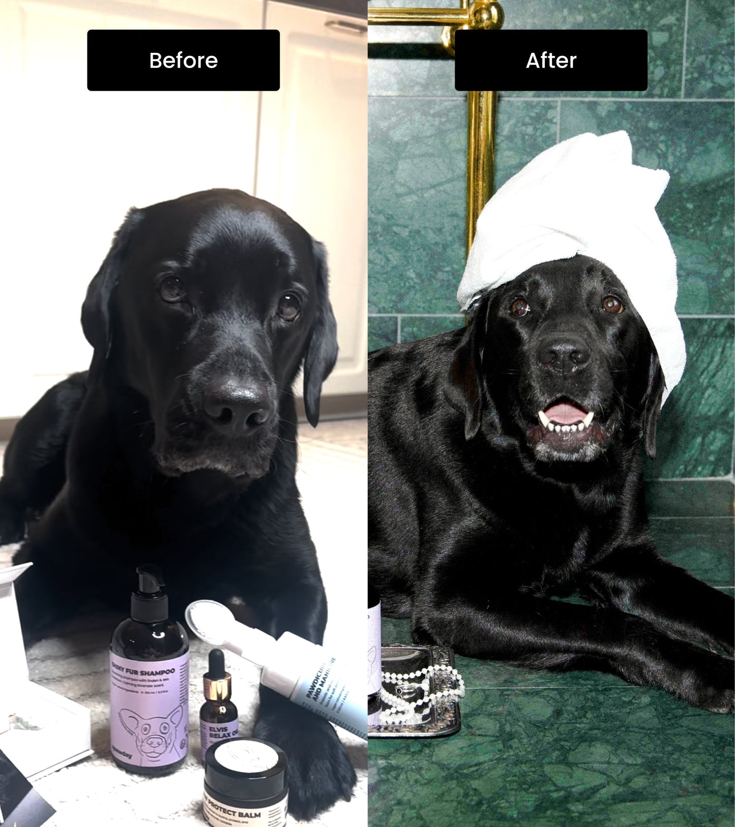 Pawdicure Wash