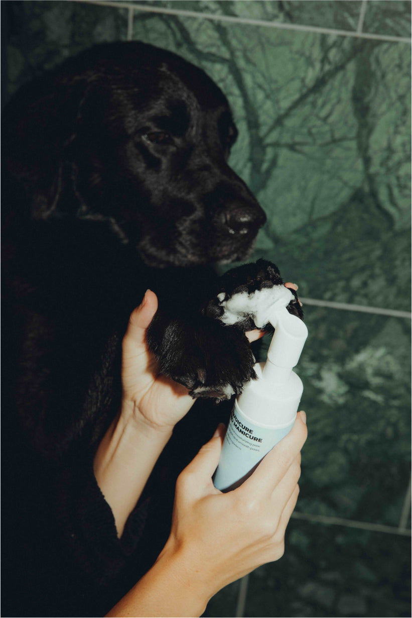 Pawdicure Wash